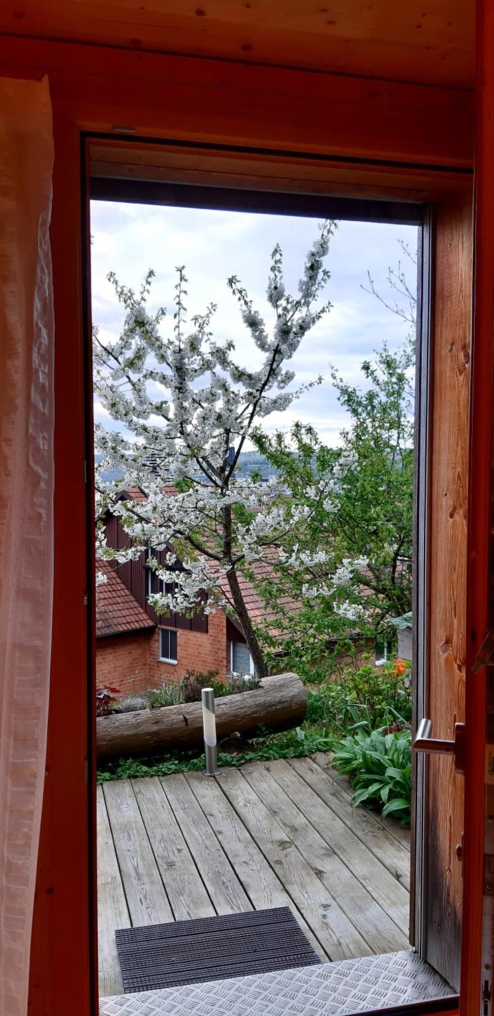 B&B Sunnesite Pratteln Extérieur photo